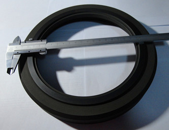 Carbon Graphite Seal Ring